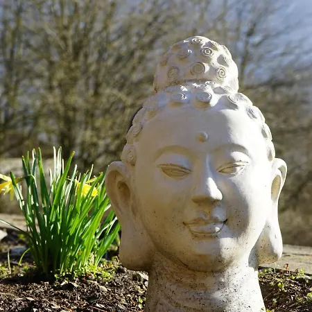 Zen Inspired Holiday In With Jacuzzi Holiday home